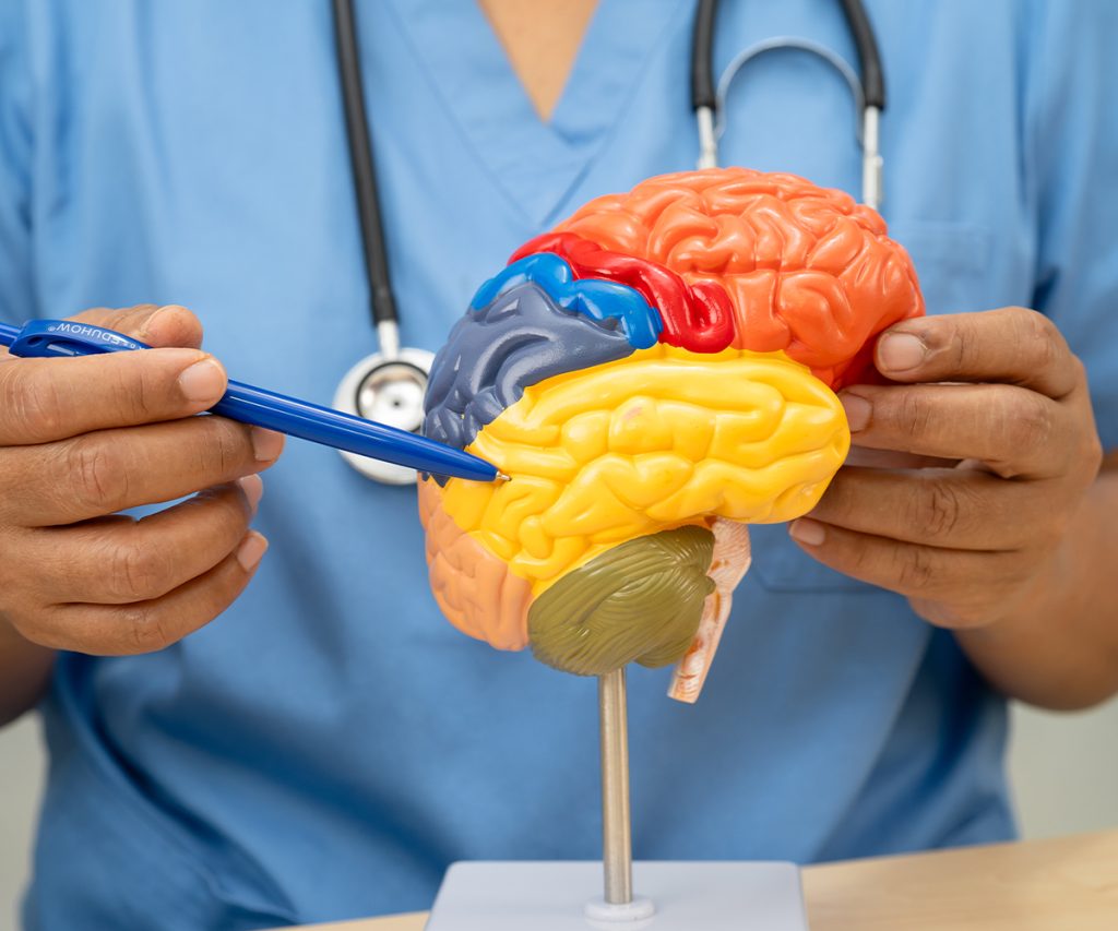 Expert Brain and Nerve Care for Children Pediatric Neurology Dubai Al Ain Abu Dhabi