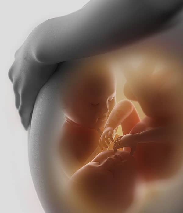 Twin-to-Twin Transfusion Syndrome (TTTS) Screening